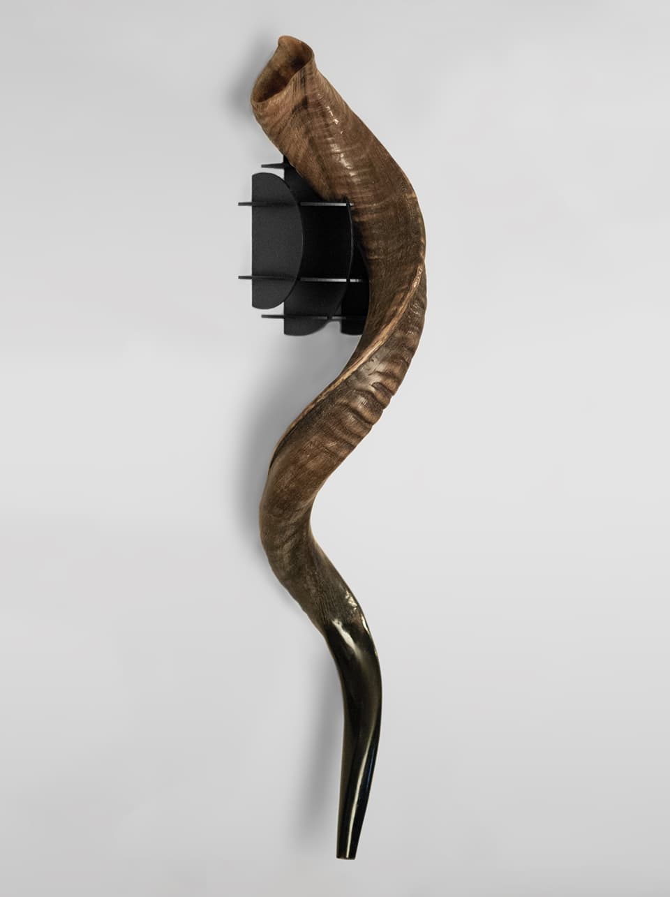 Shofar Mount