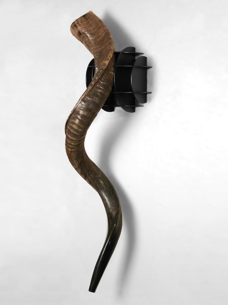 Shofar Mount